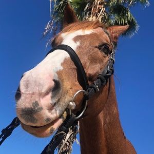 Meet your Posher, Aidan